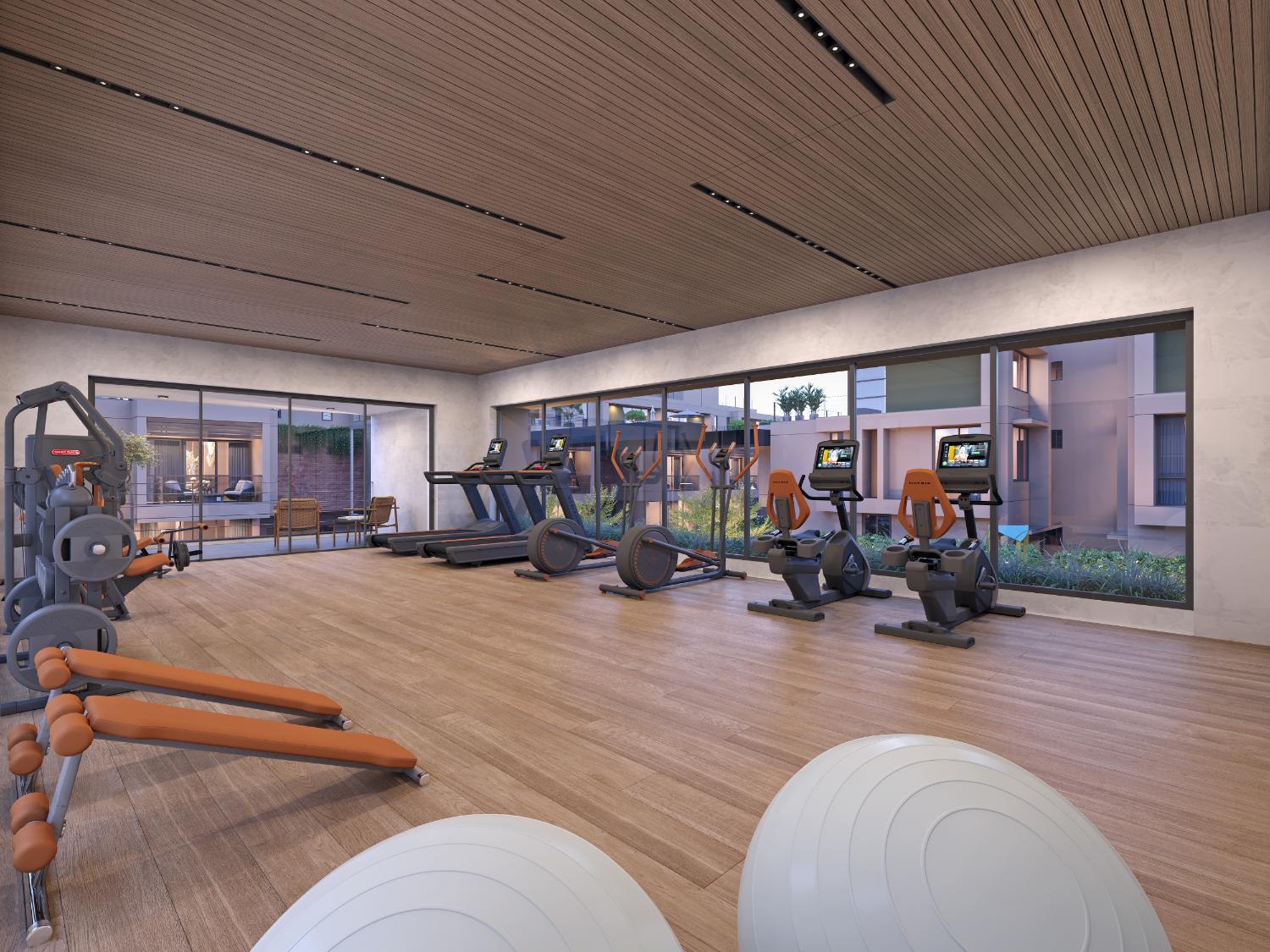 Gymnasium